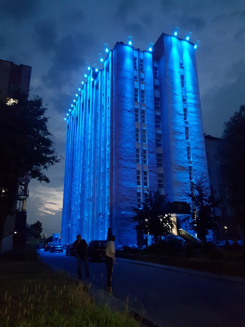 Фото подсветки дерева 1