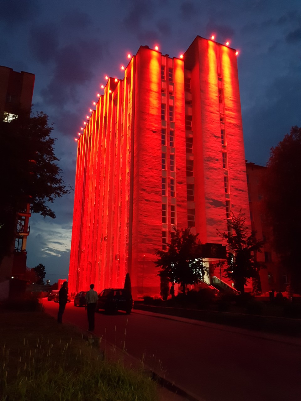 Фото подсветки дерева 1