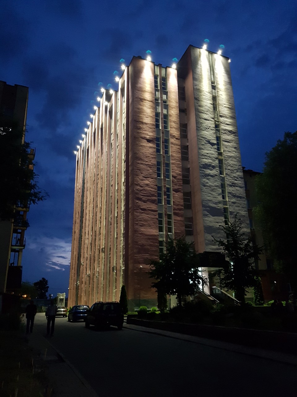 Фото подсветки дерева 1