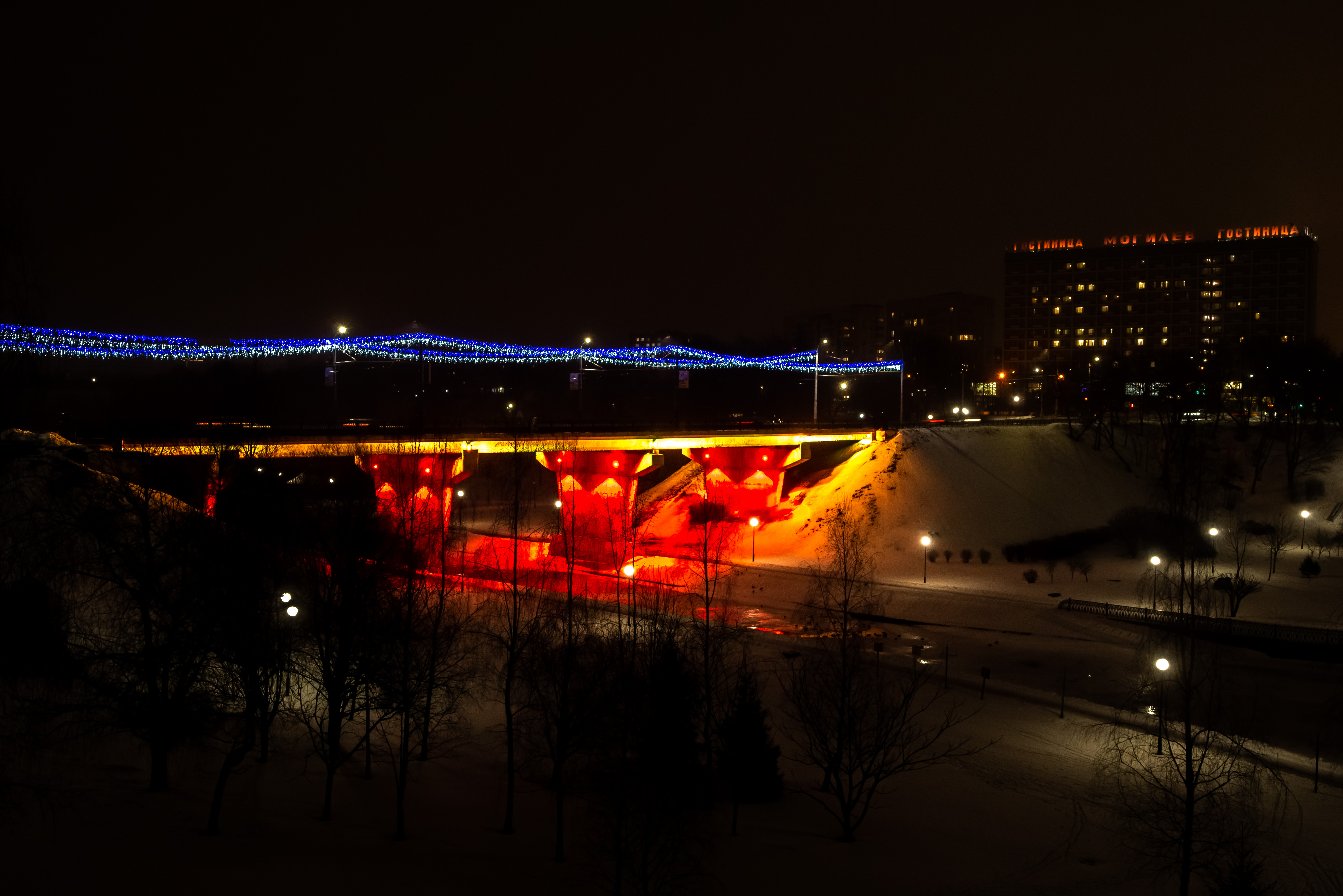 Фото подсветки дерева 2