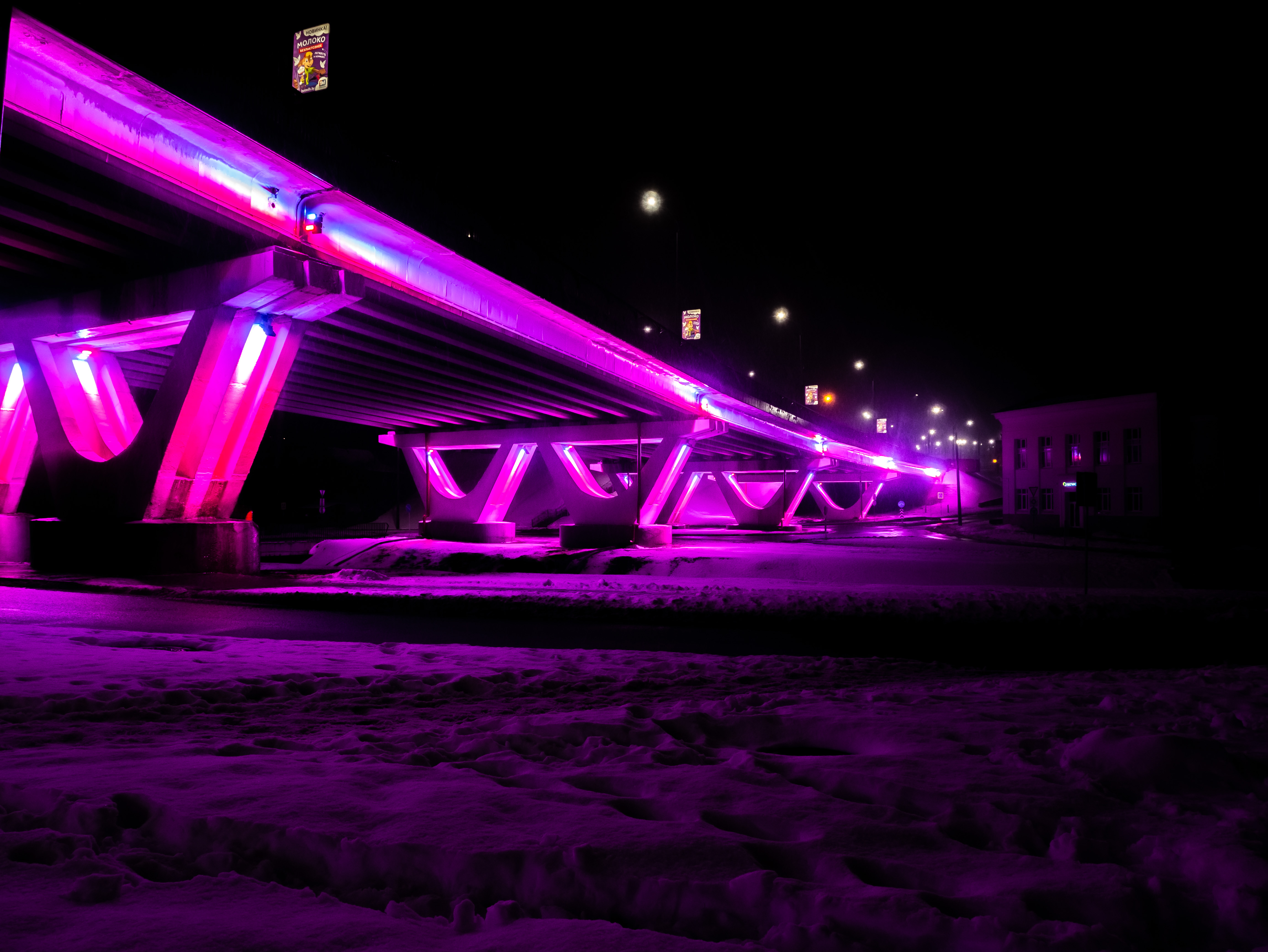 Фото подсветки дерева 2